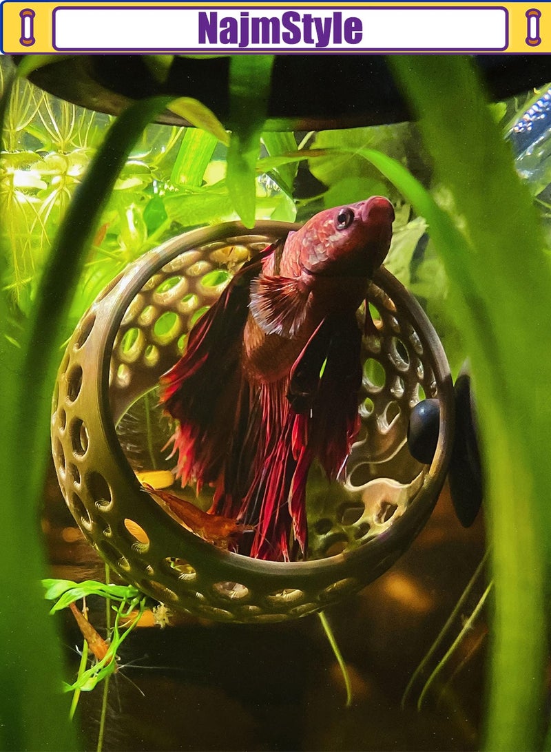نجم ستايل كهف بيتا الكهف | مخبأ حوض السمك وزخرفة الأرجوحة الشبكية ، حوض سباحة لسمك البيتا والأسماك الصغيرة والروبيان - زينة حوض السمك مع حامل نباتات - Image 3