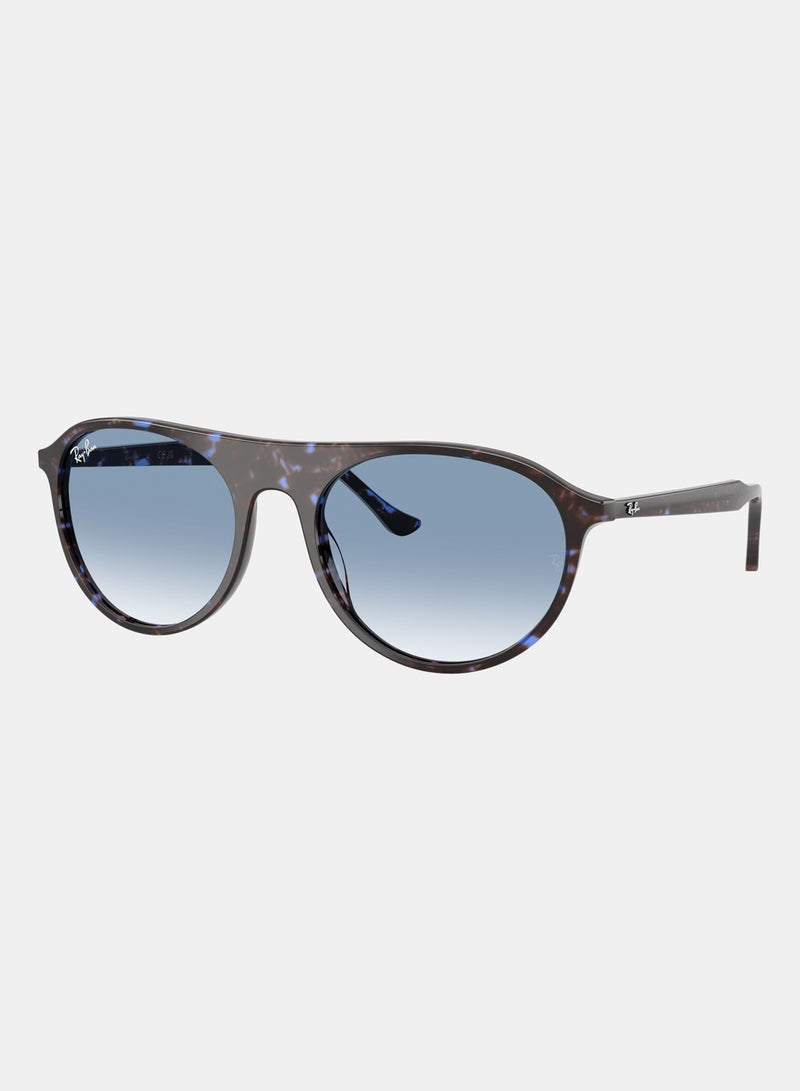راي بان Unisex Full-rimed Aviator Sunglasses 2215, 56, 1430, 3F - Image 2