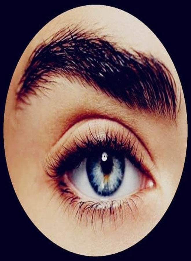 TRZ Eyebrow & Eyelash Oil for Fuller, Thicker Brows 30ml Pack Of 1 - Image 3