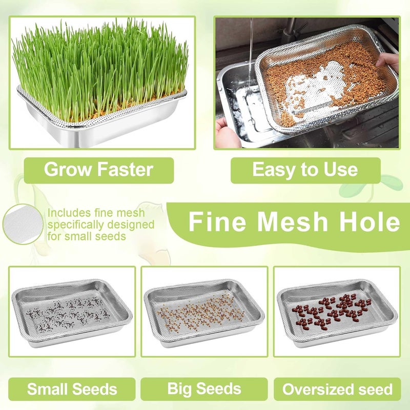 TCYPUHL Stainless Steel Sprouts Growing Kit 3-Tier 12.4 inch Trays, Microgreens Growing Kit, Seed Sprouting Tray with Encrypted Mesh Sprouts for Beans Alfalfa Broccoli Wheat Grass - Image 4