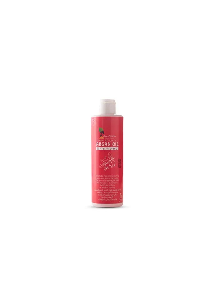 Raw African RAW AFRICAN SHAMPOO 300ML (ARGAN OIL) 