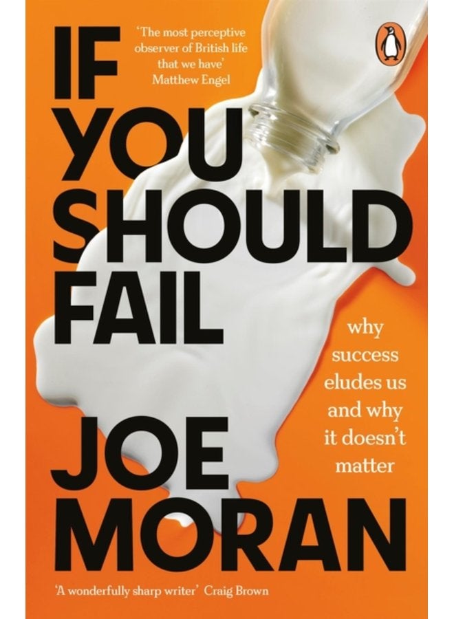 If You Should Fail Why Success Eludes Us and Why It Doesn t Matter - Paperback