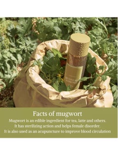 I'M FROM Mugwort Essence 5.4 Fl Oz  100% Vegan Mugwort Extract Soothe Sensitive and Irritated Skin Redness Relief Refreshing Korean Hydrating toner  - Image 4