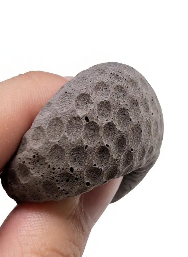 GINFH Cat Golf Balls for Indoor Kitten Toys - Interactive Sponge Foam Soccer Balls (Gray) - Image 4