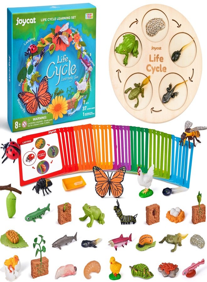 JoyCat Life Cycle Learning Education Toys, Insect Caterpillar to Butterfly kit, Ladybug, Bee, Tadpole to Frog Kit Life Cycle Toys for Kids, Preschool Learning Activities for Kids (Animals and Plant) - Image 1