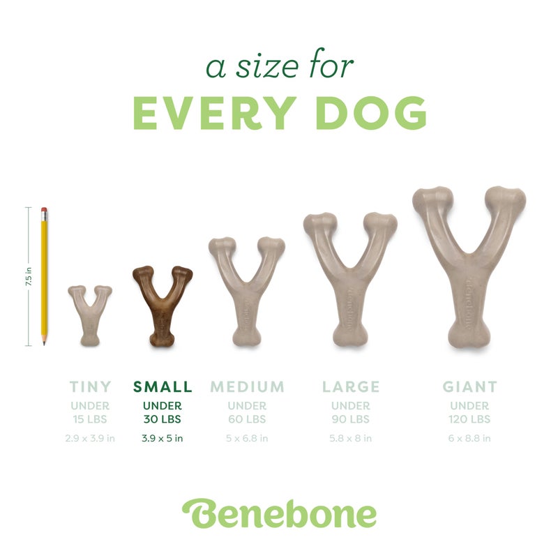 Benebone Wishbone Durable Dog Chew Toy for Aggressive Chewers, Real Chicken, Made in USA, Small, for Any breed - Image 5