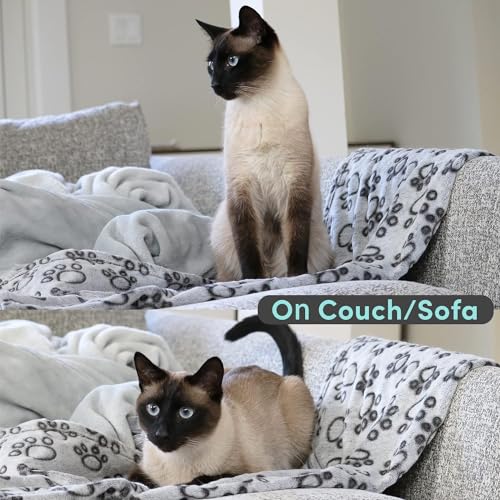 KolorFish Premium Soft Dog Blanket with Cute Paw Print, Cat Blanket Puppy Pads Supplies Dog Products Stuff Essentials (Medium 50 x 76 cm) Grey - Image 4