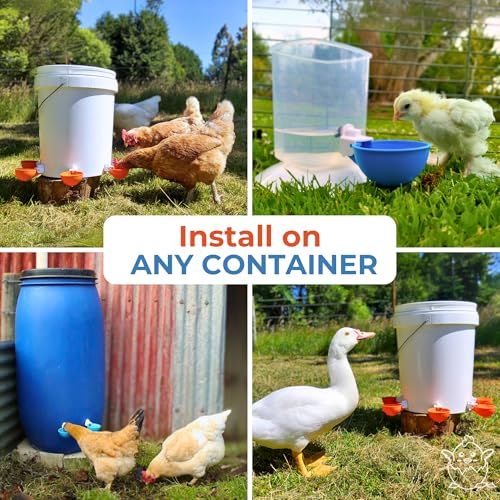 Lil'Clucker Large Automatic Chicken Waterer Cups | Chicken Water Feeder Suitable for Chicks, Duck, Goose, Turkey and Bunny | Poultry Water Feeder Kit (Orange, 5-Pack) - Image 5