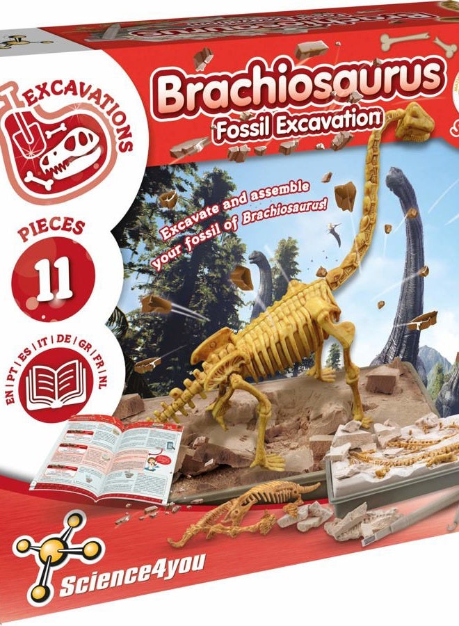 Science4you Brachiosaurus Fossil Digging Kit for Kids +6 - Excavate and Assemble 11 Brachiosaurus Fossiles - Ideal Dinosaur Excavation Kit Toy, Archeology and Paleontology Sets for Kids Age 6+ - Image 1