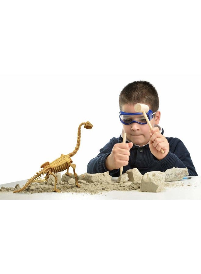 Science4you Brachiosaurus Fossil Digging Kit for Kids +6 - Excavate and Assemble 11 Brachiosaurus Fossiles - Ideal Dinosaur Excavation Kit Toy, Archeology and Paleontology Sets for Kids Age 6+ - Image 3