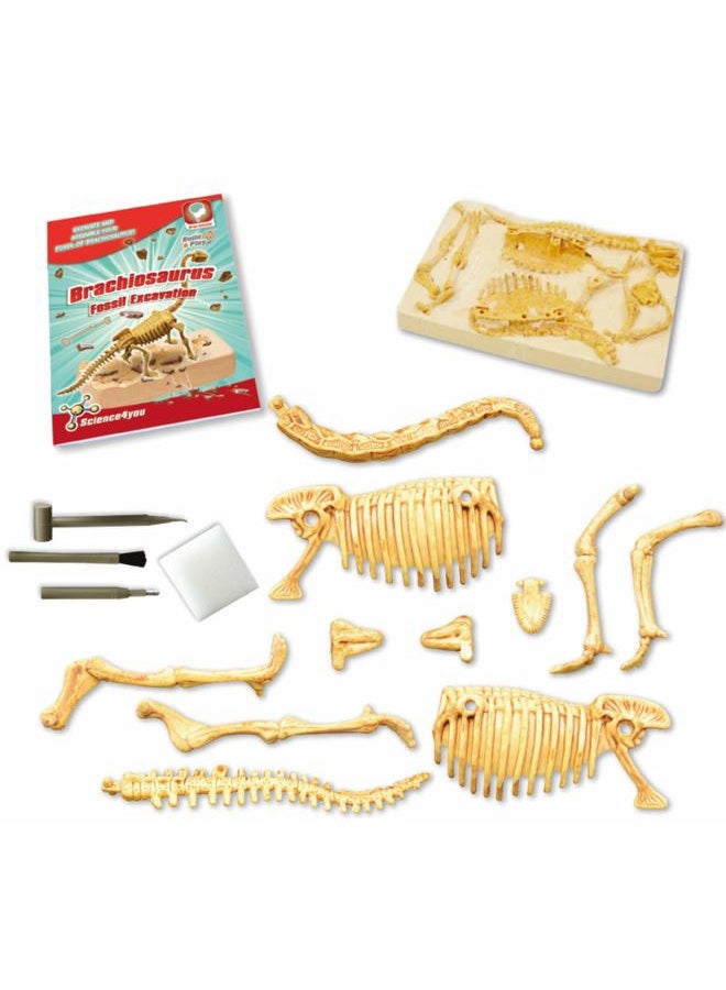Science4you Brachiosaurus Fossil Digging Kit for Kids +6 - Excavate and Assemble 11 Brachiosaurus Fossiles - Ideal Dinosaur Excavation Kit Toy, Archeology and Paleontology Sets for Kids Age 6+ - Image 4