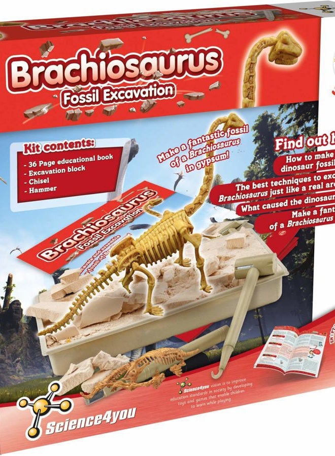 Science4you Brachiosaurus Fossil Digging Kit for Kids +6 - Excavate and Assemble 11 Brachiosaurus Fossiles - Ideal Dinosaur Excavation Kit Toy, Archeology and Paleontology Sets for Kids Age 6+ - Image 5