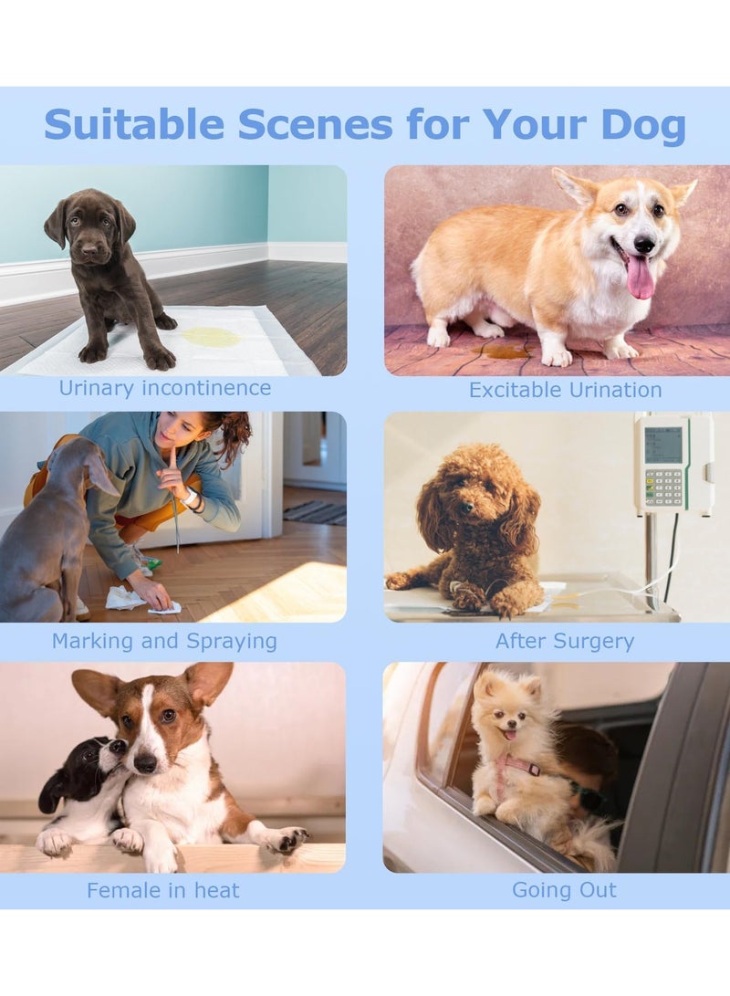 CMGTYYD. حفاضات كلاب للإناث، حفاضات جرو يمكن التخلص منها مع خصر قابل للتمدد، حفاضات كلاب قابلة للسحب للكلاب في الحرارة، تصميم فائق الامتصاص ومقاوم للتسرب، 10 قطع، مثالية للكلاب المتوسطة (M) - Image 5