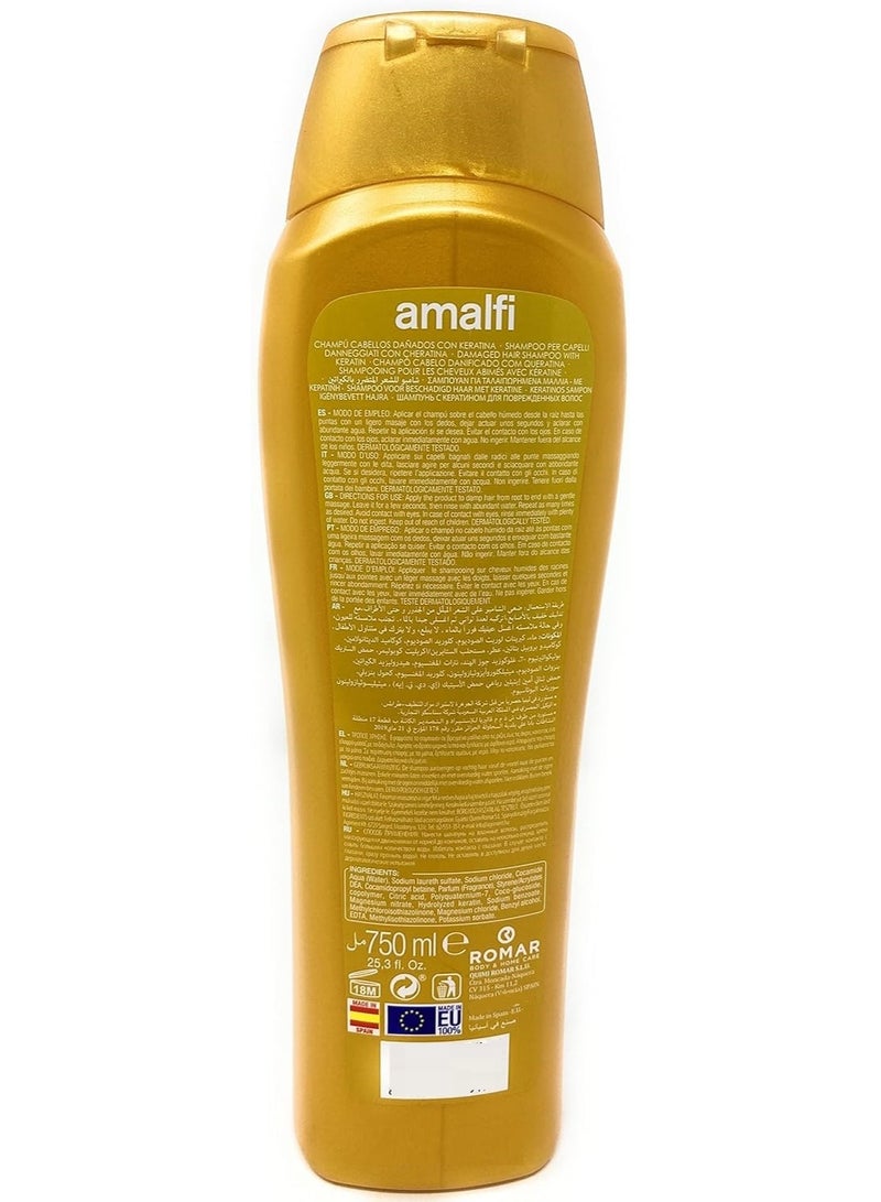 AMALFI Hair Care Shampoo Keratin Damaged Argan 750 ML - Image 2