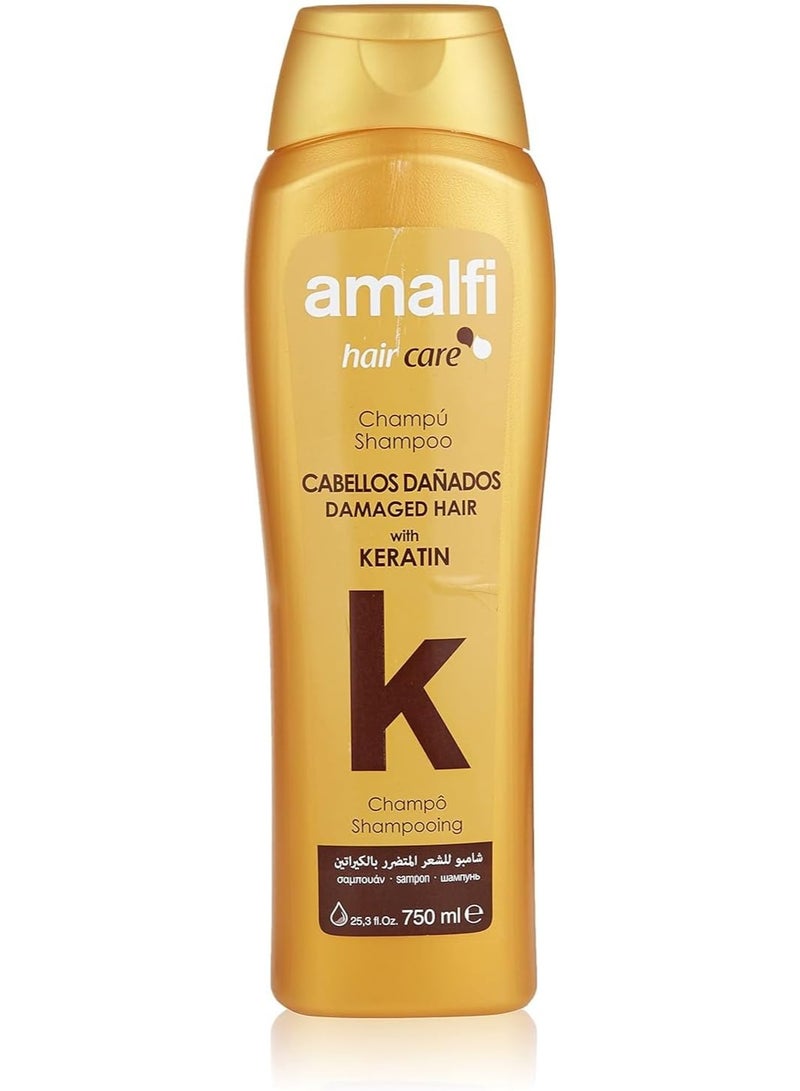 AMALFI Hair Care Shampoo Keratin Damaged Argan 750 ML - Image 1