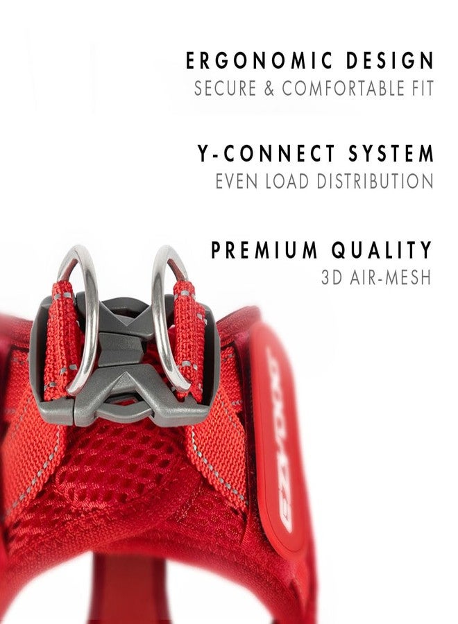 EzyDog FORMFIT Dog Harness for Small Sized Dog - All Weather Breathable Mesh Small Dog Harness with Reflective Trim, Easy Hook & Loop Closure, Sturdy Buckle, & D-Ring (Black, L) - Image 4