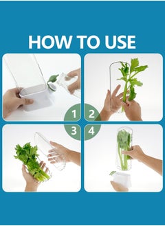 Craftman Herb Keeper,Herb Saver for Refrigerator, Fresh Herb Keeper，Family-sized  - Image 4