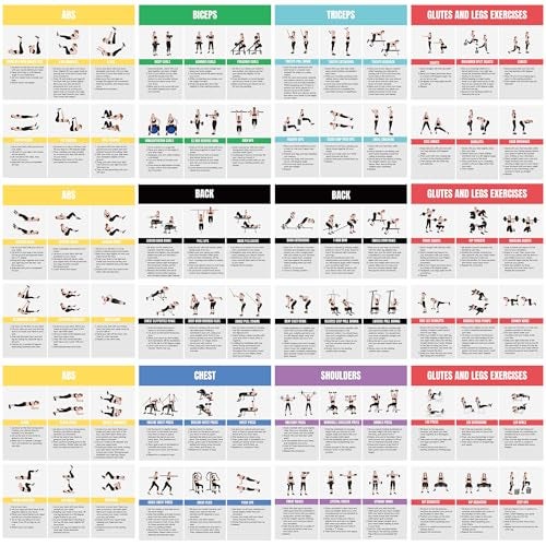 Auroscent Full Body Workout Poster for Home Gym – Exercise Chart for Glutes, Legs, Back & Abs – Strength Training Guide with Squats, Lunges, Deadlifts, Core Exercises – Bodyweight & Dumbbell Training Guide - Image 1