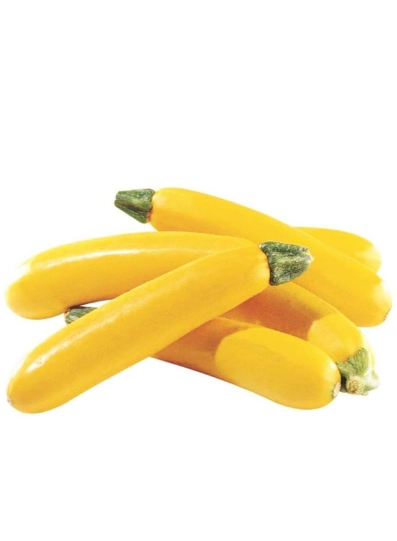 vsell24 10G Organic Banana Summer Squash Seeds Grow Banana Squash at Home Non-GMO Seeds With 98% Cleaness, 95% Purity, 80% Germination Rate 3PC - Image 1