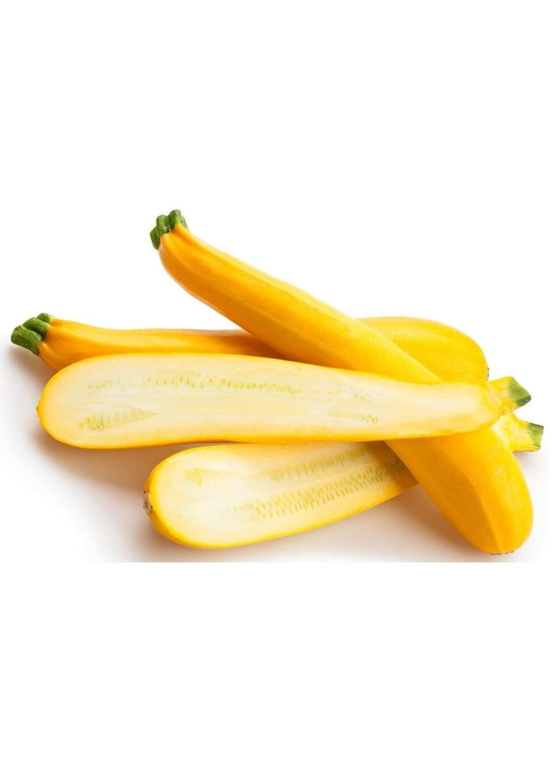 vsell24 10G Organic Banana Summer Squash Seeds Grow Banana Squash at Home Non-GMO Seeds With 98% Cleaness, 95% Purity, 80% Germination Rate 3PC - Image 3