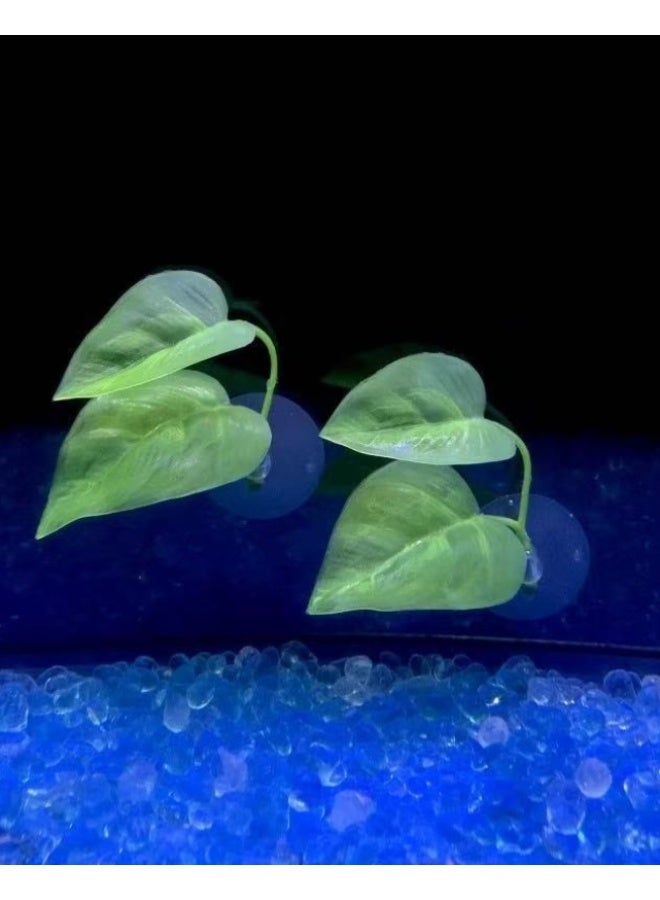 Betta Fish Leaf Hammock Aquarium Decoration, 3-Piece Simulation Plant Set for Resting - Image 5