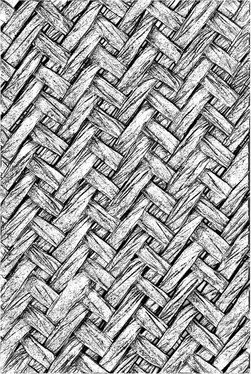 Sizzix 3D Texture Fades Embossing Folder 664759 Intertwine by Tim Holtz One Size - Image 1