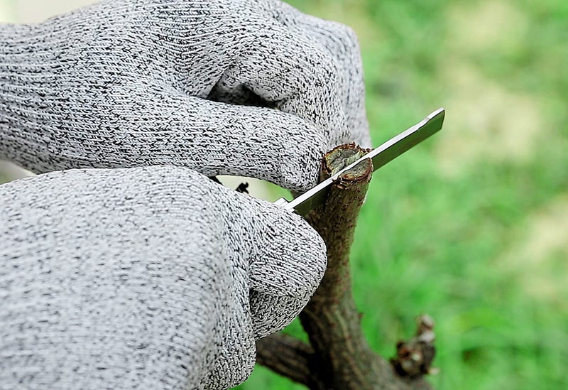 PUELDU Grafting Knife With 2 Blades & 2 Tapes - Stainless Steel Gardening Tool for Plant Grafting, Pruning, Fruit Picking - Portable Rosewood Handle, Bark Lifter (Foldable) - Image 4