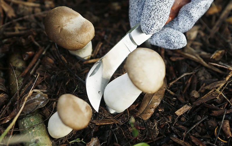 PUELDU Grafting Knife With 2 Blades & 2 Tapes - Stainless Steel Gardening Tool for Plant Grafting, Pruning, Fruit Picking - Portable Rosewood Handle, Bark Lifter (Foldable) - Image 5