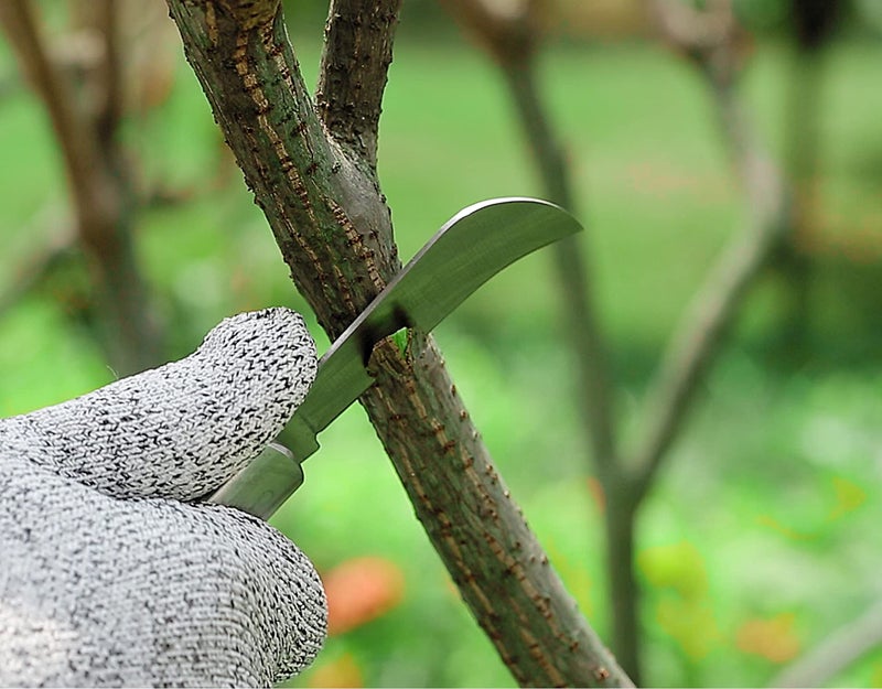 PUELDU Grafting Knife With 2 Blades & 2 Tapes - Stainless Steel Gardening Tool for Plant Grafting, Pruning, Fruit Picking - Portable Rosewood Handle, Bark Lifter (Foldable) - Image 3