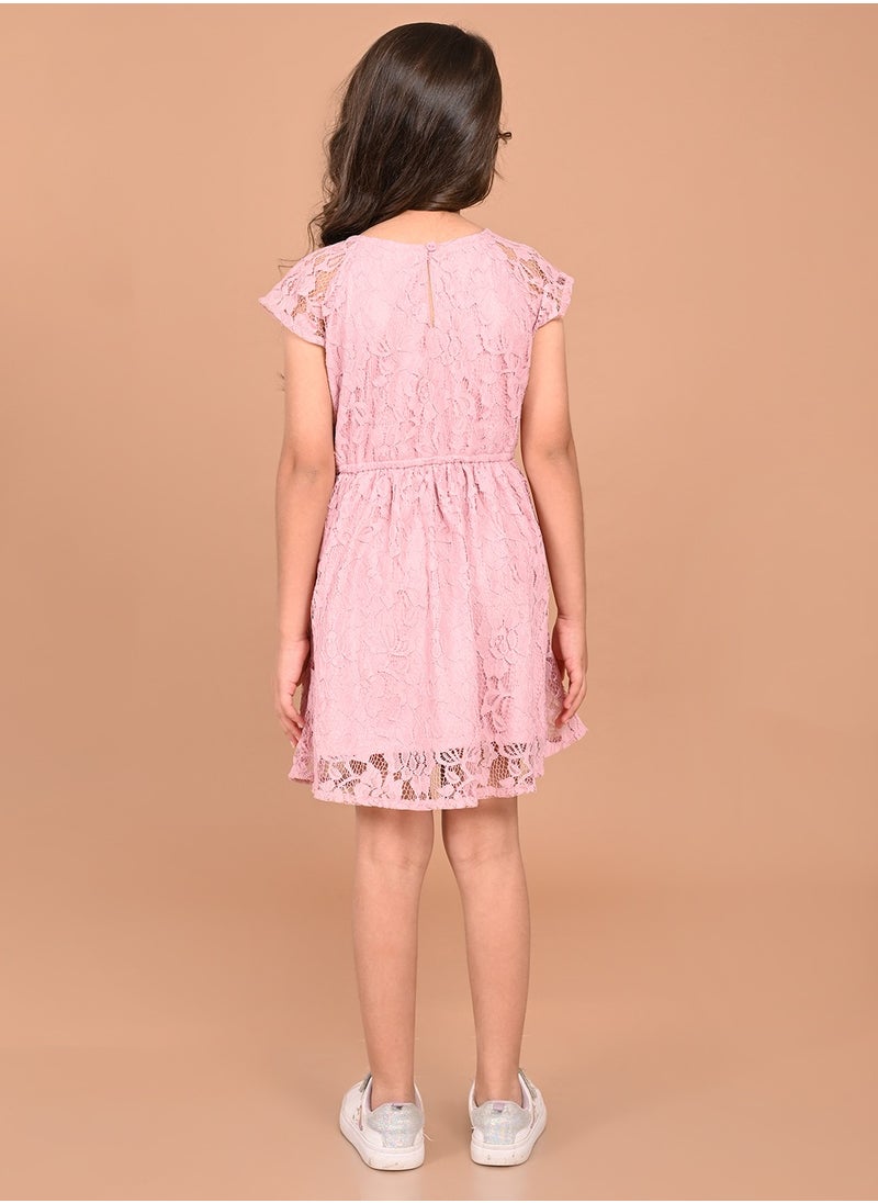 LILPICKS Lace Fit n Flare Dress  - Image 3