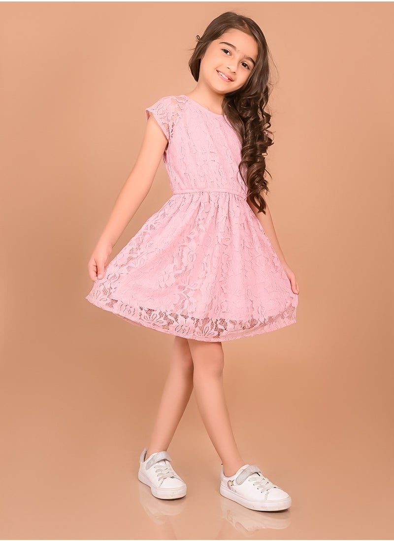 LILPICKS Lace Fit n Flare Dress  - Image 4