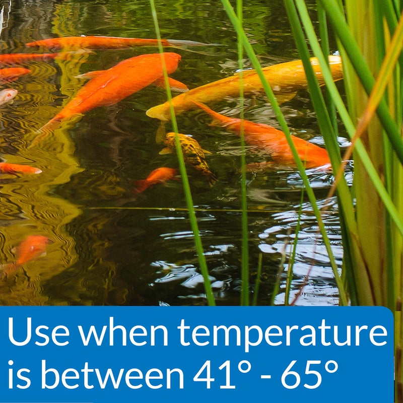 API POND COOL WATER FOOD Pond Fish Food 1.40-Pound Bag - Image 3