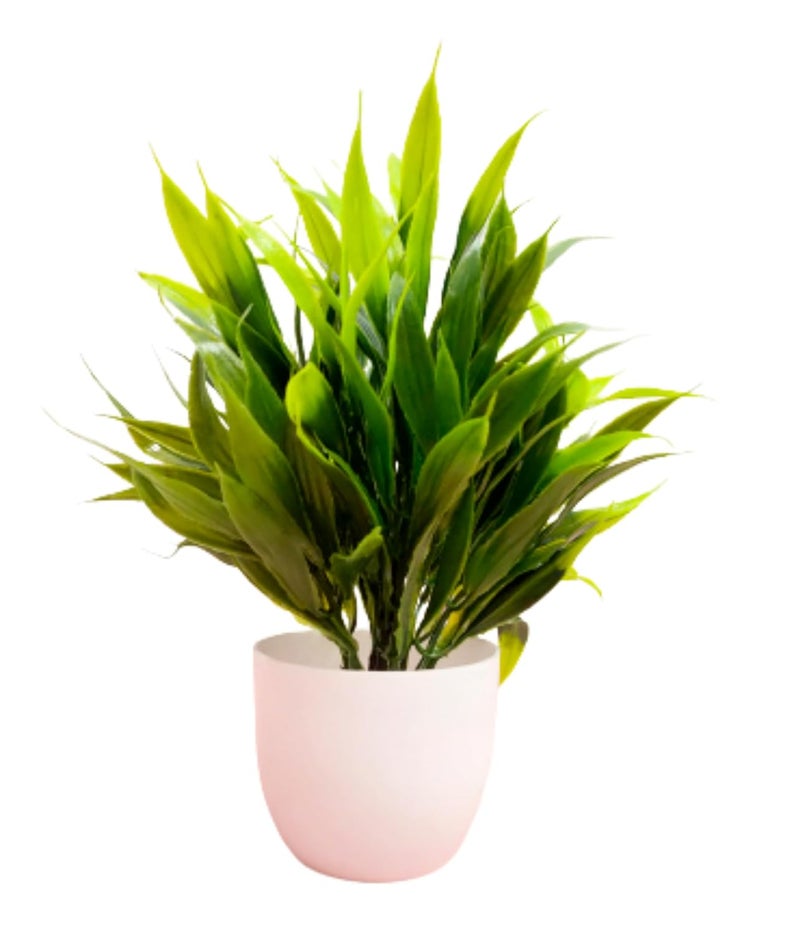Dekorly Artificial Potted Plants, 8 Pack Artificial Plastic Eucalyptus Plants Small Indoor Potted Houseplants, Small Faux Plants for Home Decor Bathroom Office Farmhouse (Multi-A) - Image 4