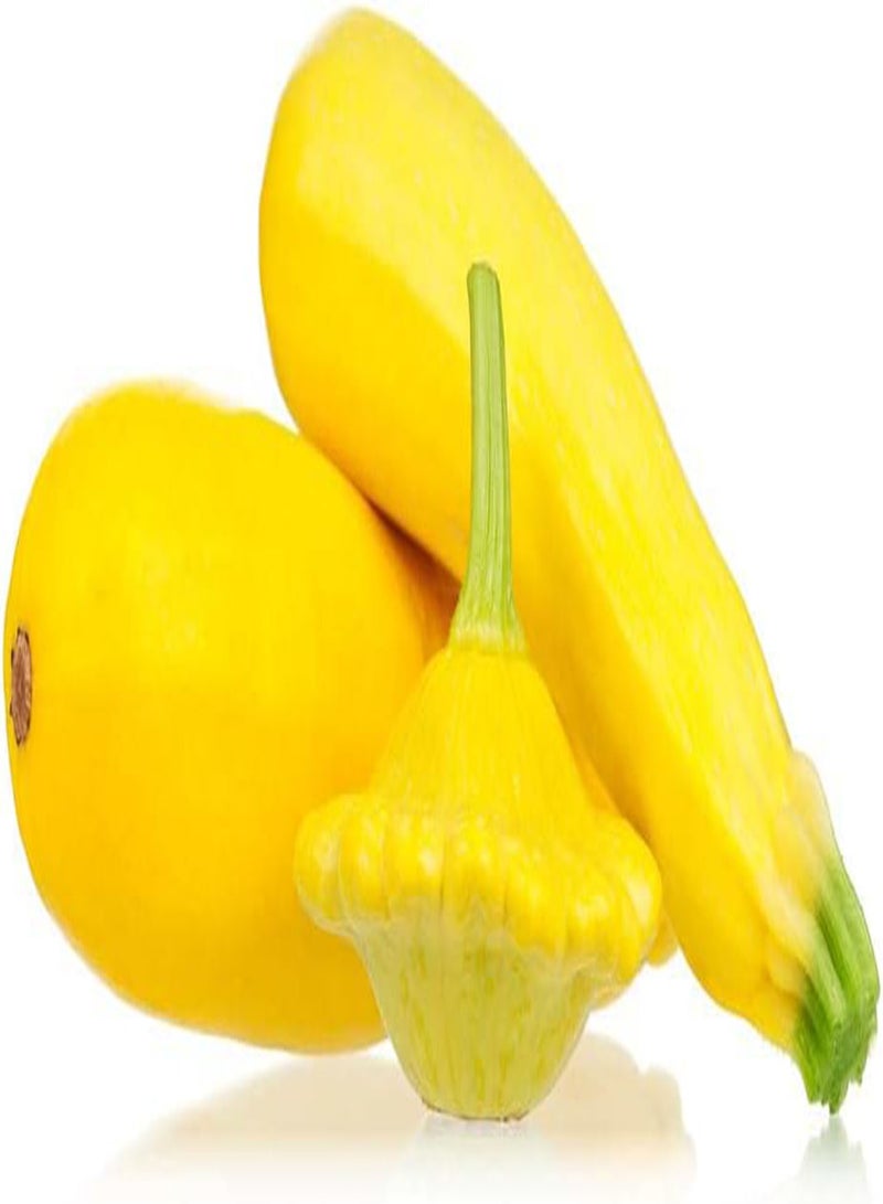 GGOOT 30Stück gelbe Zucchini Samen Zum Anpflanzen zu Hause Hohe Keimrate Jährliche Erbstück Gemüsesamen Gartenarbeit Fügen Sie Farbe für den Garten hinzu - Image 1