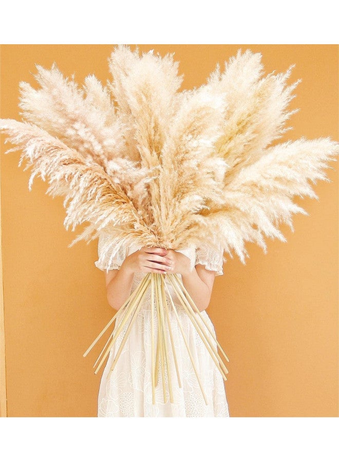 Bannifll 40" inch 10 Stems Natural Pampas Grass Decor Tall, pompas Grass, Tall Pampas Grass for Wedding, Party, Farmhouse, Boho Home Decor  - Image 1