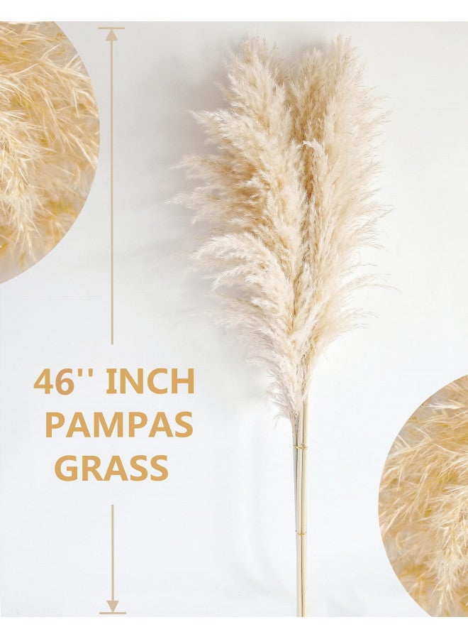Bannifll 40" inch 10 Stems Natural Pampas Grass Decor Tall, pompas Grass, Tall Pampas Grass for Wedding, Party, Farmhouse, Boho Home Decor  - Image 2