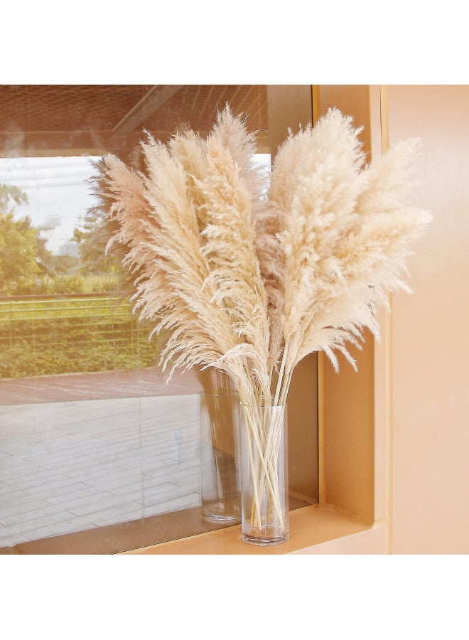 Bannifll 40" inch 10 Stems Natural Pampas Grass Decor Tall, pompas Grass, Tall Pampas Grass for Wedding, Party, Farmhouse, Boho Home Decor  - Image 3