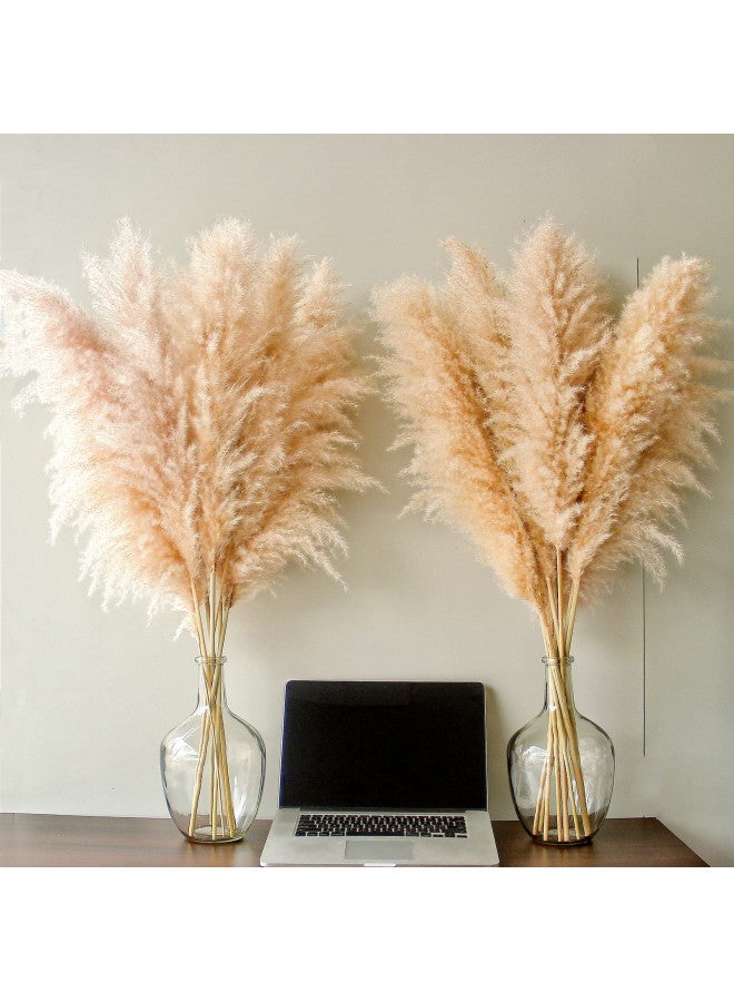 Bannifll 40" inch 10 Stems Natural Pampas Grass Decor Tall, pompas Grass, Tall Pampas Grass for Wedding, Party, Farmhouse, Boho Home Decor  - Image 4