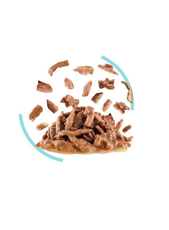 ROYAL CANIN Feline Health Nutrition Sensory Feel Gravy (WET FOOD - POUCHES) 12x85G - Image 3