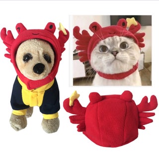 Halloween Pet Costume Vampire Cloak funny crab - pzsku/ZFA3098AD391E429FD239Z/45/1746188369/89c5d69e-128b-4fc4-8cba-c66bfa2c3cba
