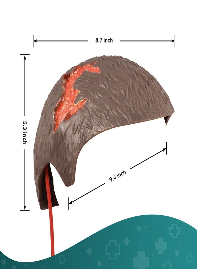 MedEduQuest Wound Packing Head Training Kit,Wearable Bleeding Control Training for Medical Students, First Aid,Wound Training and Medical Classes - Brown - Image 4
