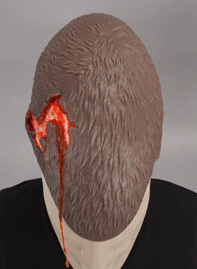 MedEduQuest Wound Packing Head Training Kit,Wearable Bleeding Control Training for Medical Students, First Aid,Wound Training and Medical Classes - Brown - Image 3