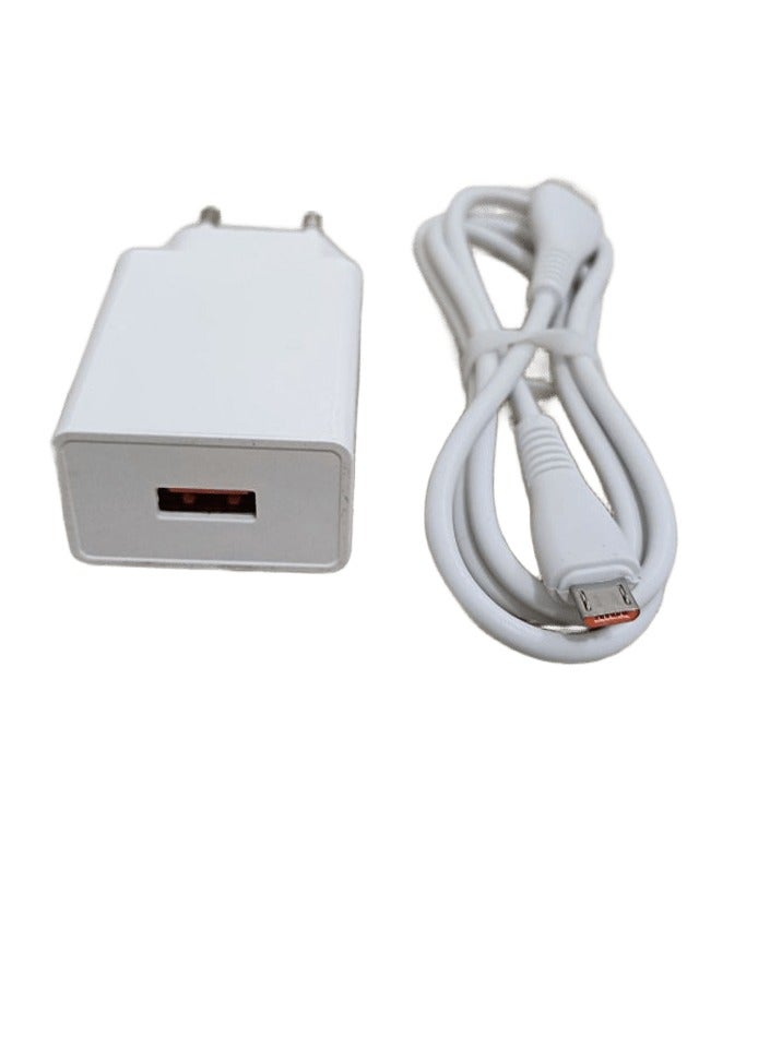 2.4A Mobile Phone Charger with Micro Cable