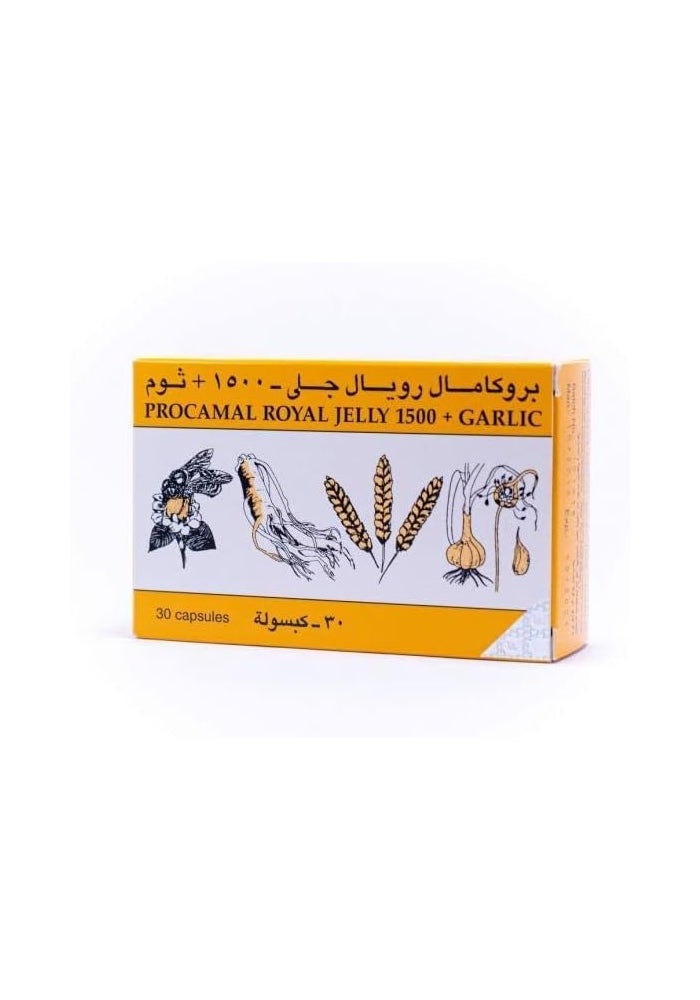 PROCAMAL بروكامال جل الملكي - 1500 كبسولة ثوم، 30 قطعة - Image 2