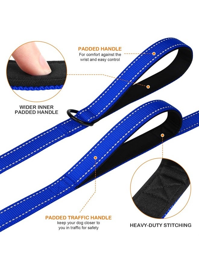 Joytale Double Handle Dog Leash, Double-Sided Reflective Dog Leashes for Night Safety, Heavy Duty Leash for Large and Extra Large and Medium Breed Dogs Outside Walking,5FT,Royal Blue - Image 1