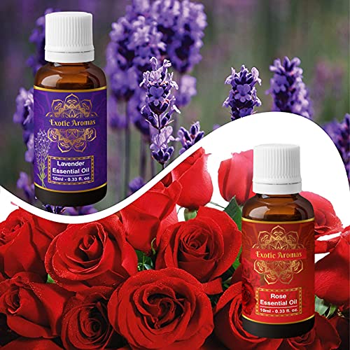 Exotic Aromas Lavender Essential Oil & Rose Oil, Pack of 2 - Image 4