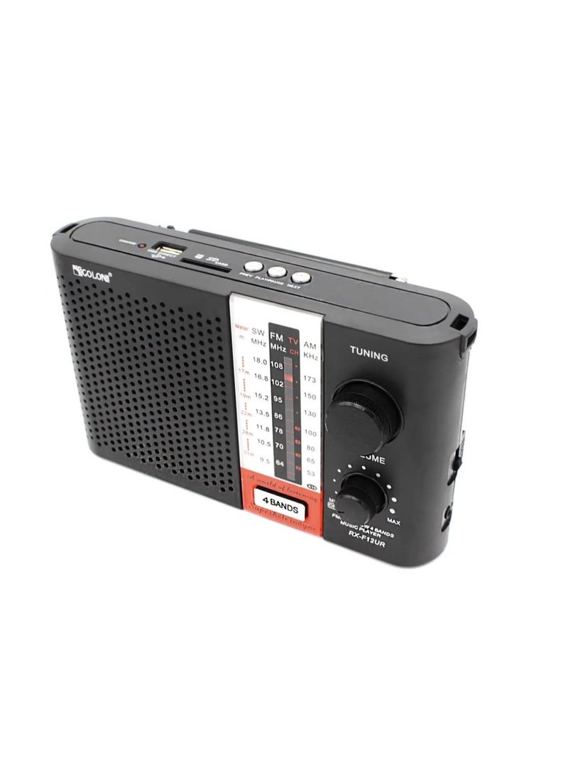 جولون راديو كلاسيكي f12 -مدخل يو اس بي- مدخل سي دي كارت- بطارية قابلة للشحن - Image 3