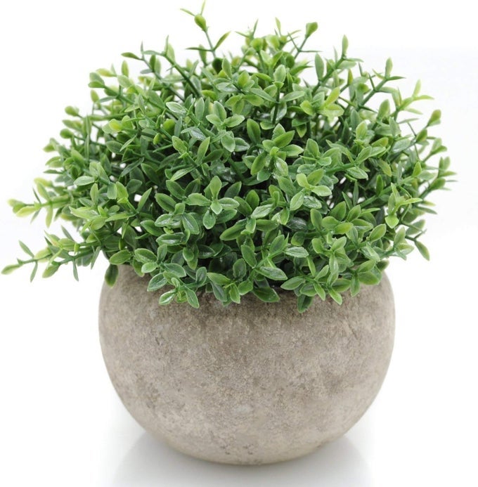 Mini Sage Green Potted Boxwood Topiary Artificial Plants for Home Decor Indoor Farmhouse House Plant Office Small Desk Shelf Apartment Coffee Bar Bathroom Decor Guest Room Small Fake Plant