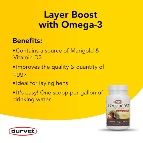 Durvet Healthy Flock Poultry Layer Boost, 100 gm - Image 2