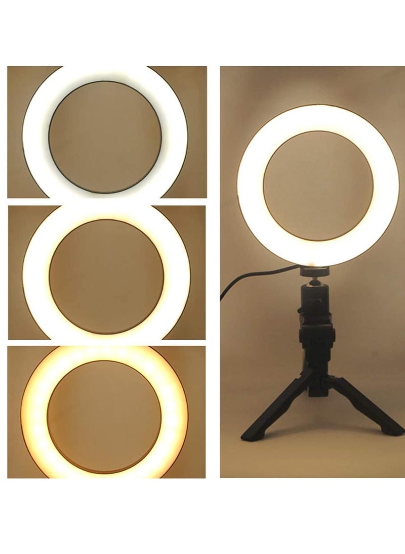 Dubkart - 3 Pcs Kit Of Photo Studio Table Top Ring Fill Light, Small Ball Nebula And Stander For Beauty Selfie And Soft Box Photography - Image 1